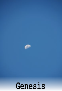 Genesis