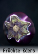 Früchte Edens
