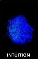 GENESIS INTUITION