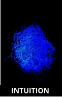 GENESIS INTUITION